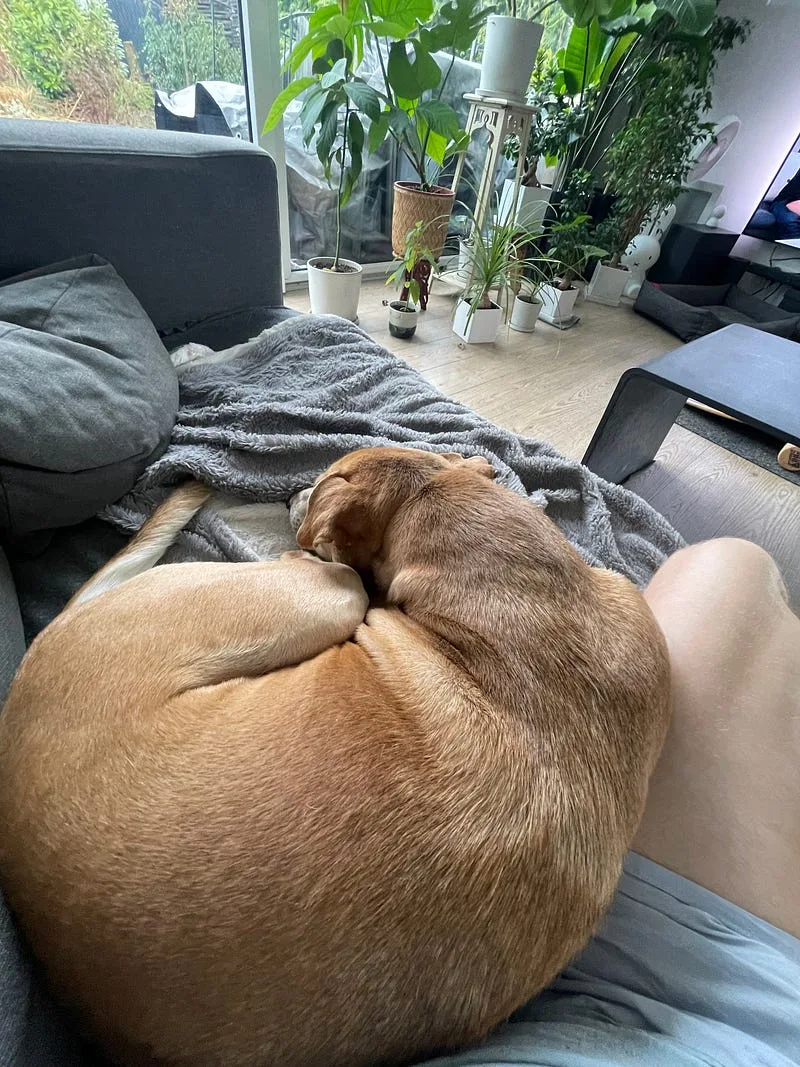 On se nekdy i prituli.